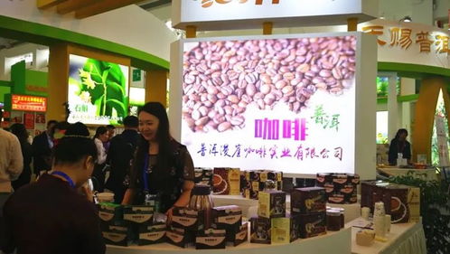 普洱市組團(tuán)參加第五屆中國—南亞博覽會(huì)暨第二十五屆中國昆明進(jìn)出口商品交易會(huì)，會(huì)議及展覽服務(wù)全面升級